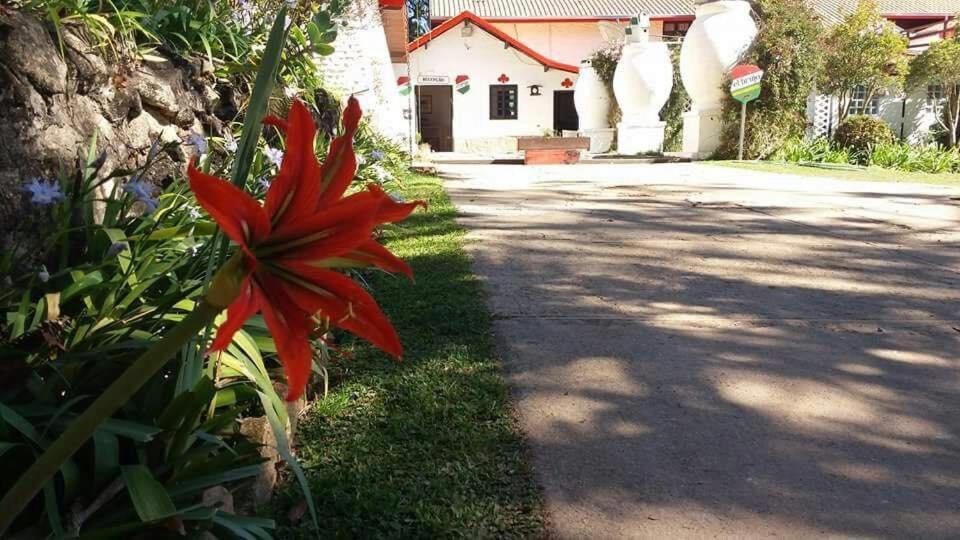 Pousada El Brujo Monte Verde  Εξωτερικό φωτογραφία